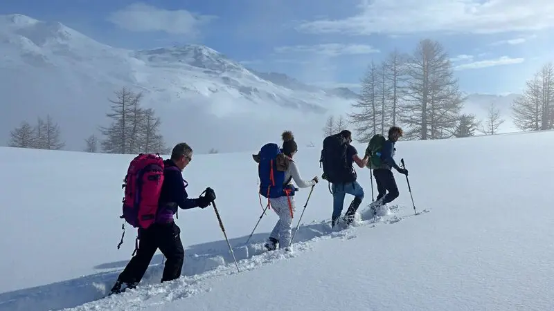 Stage survie Terres de Trek