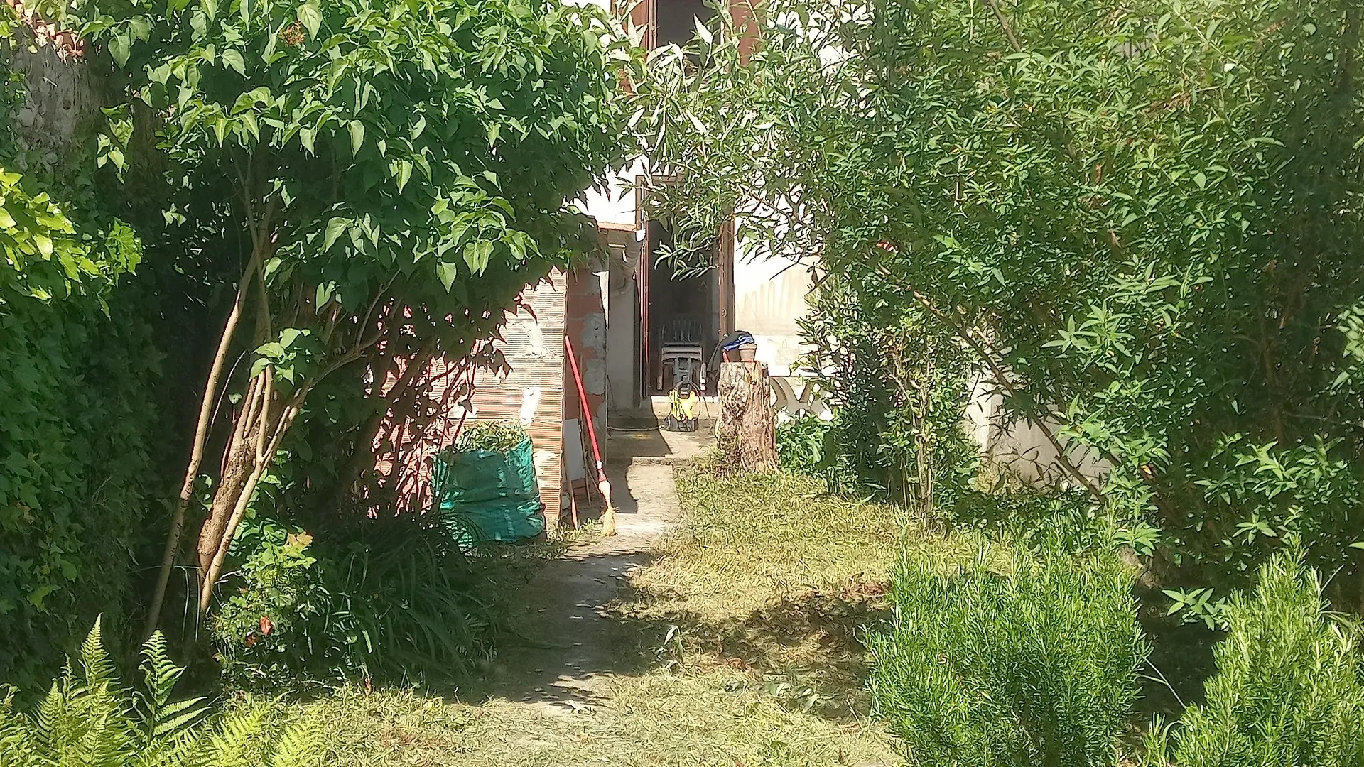 jardin