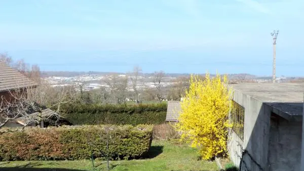 Vue depuis le séjour (vue sur le Lac Léman