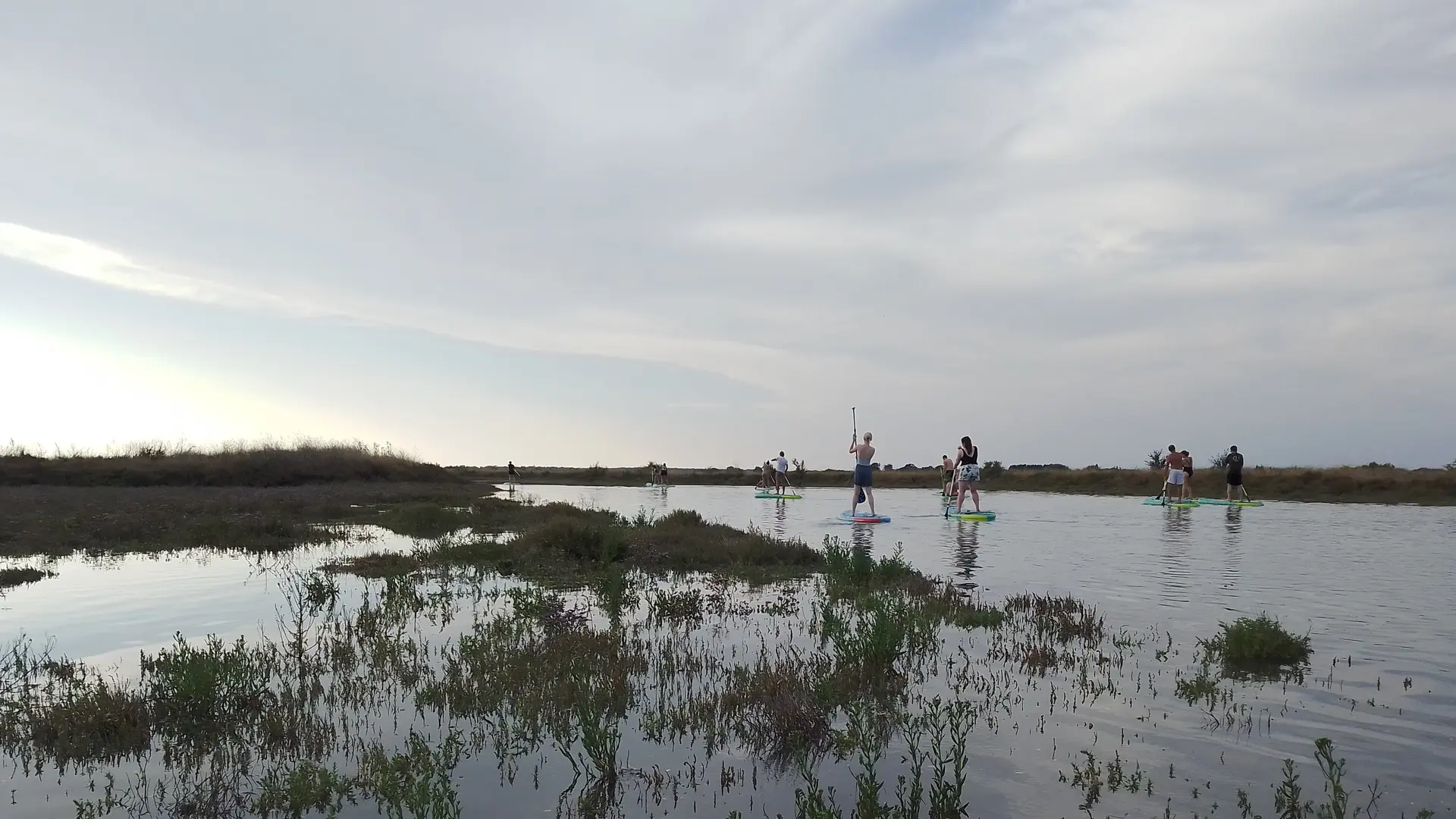 Randonnée en paddle dans l'île de Ré