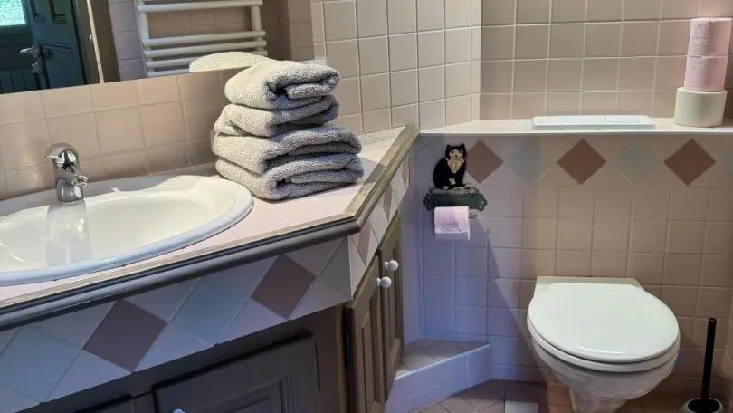 Salle d'eau privative avec WC