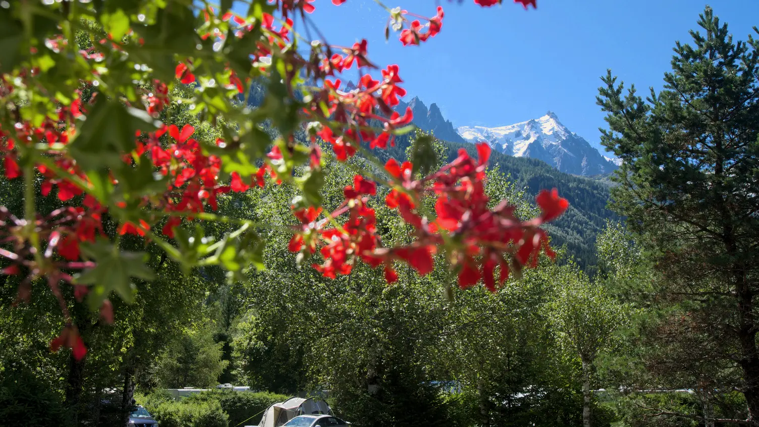 camping mer de glace 11