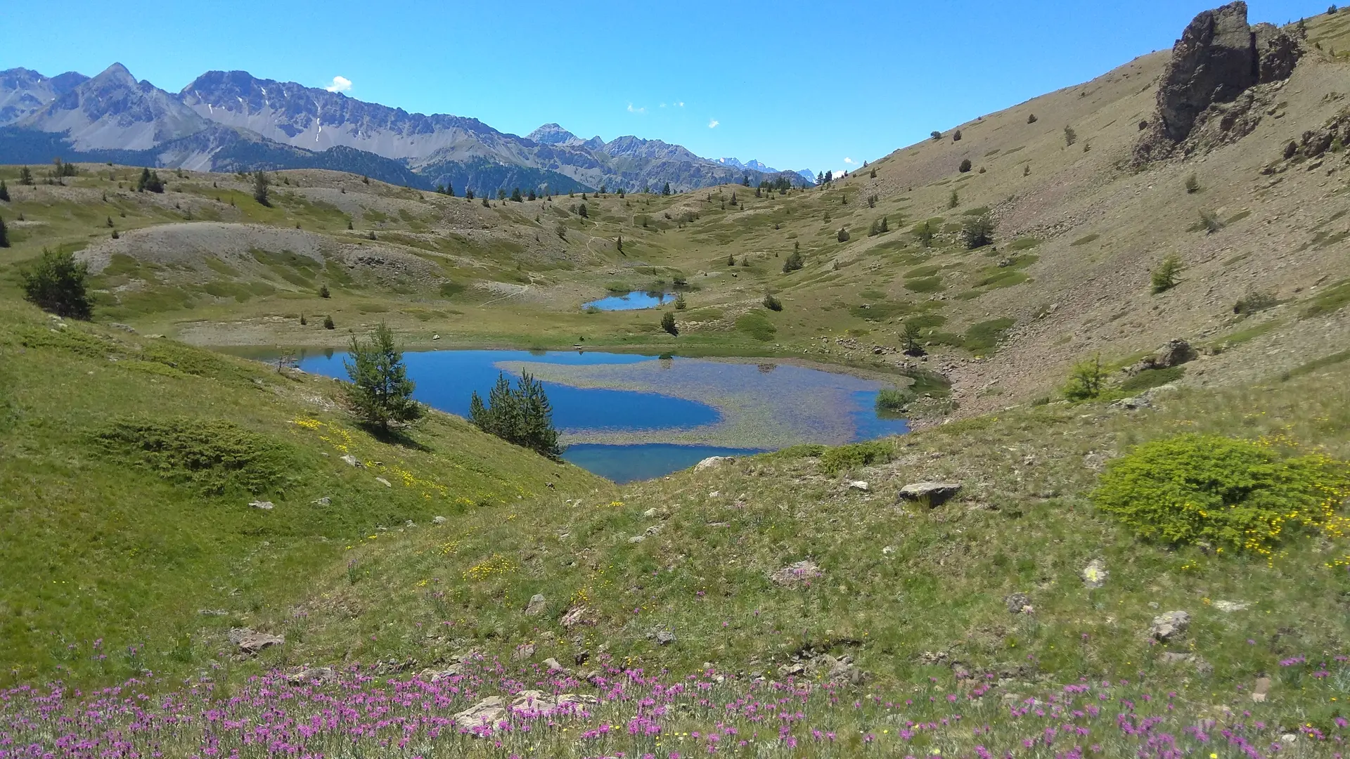 Photographie prairie alpine