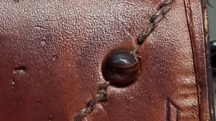 Pierre semis précieuse et rune