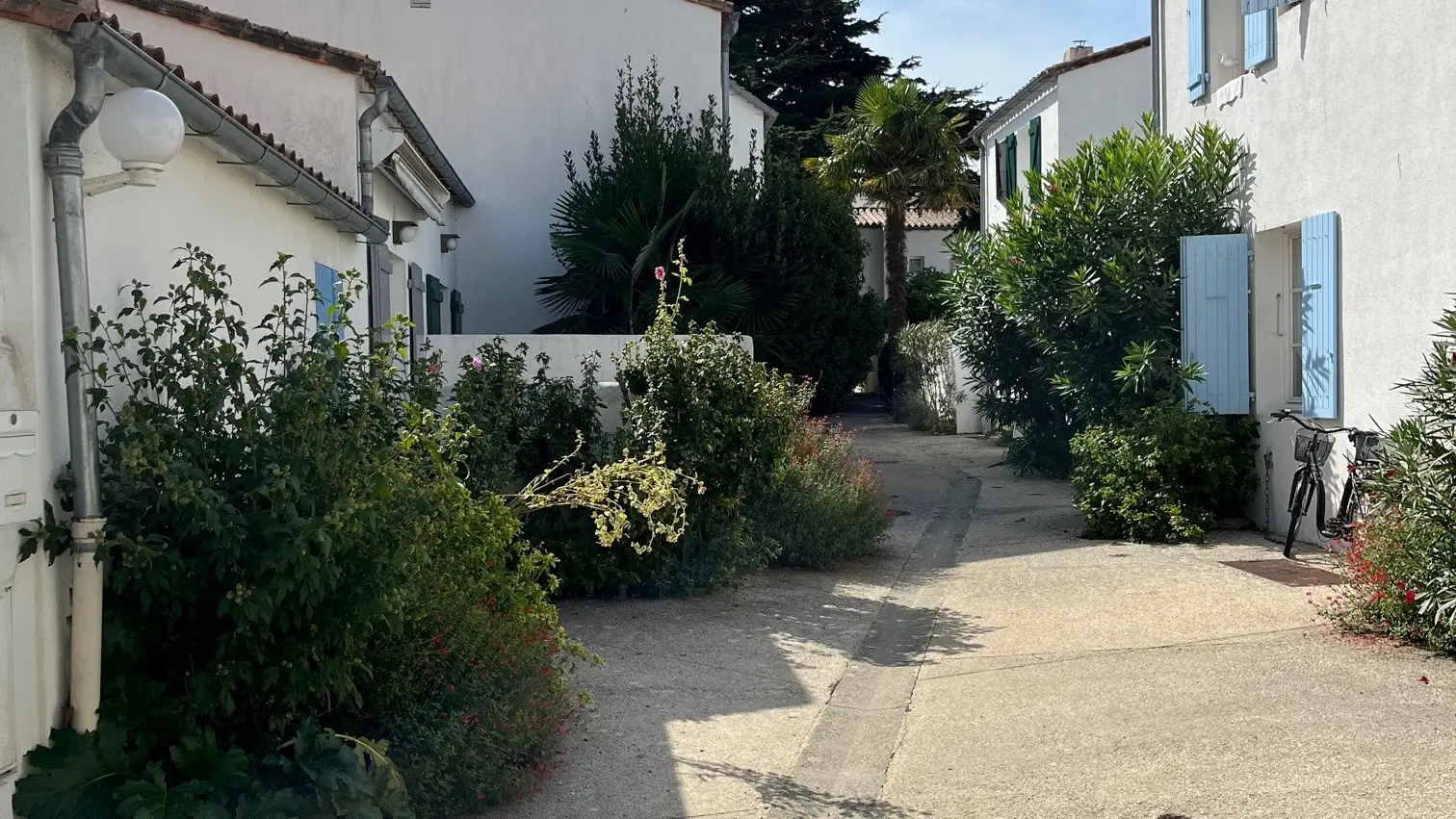 Ma petite cabane_Saint-Martin-de-Ré