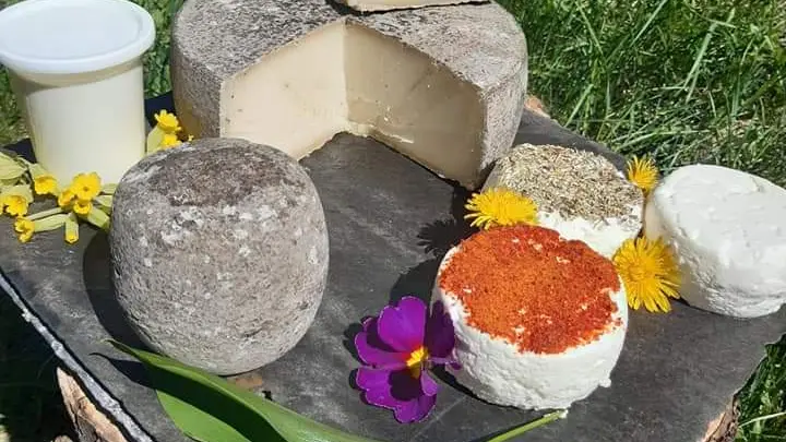 Plateau de fromages - Le Boscodon CROTS