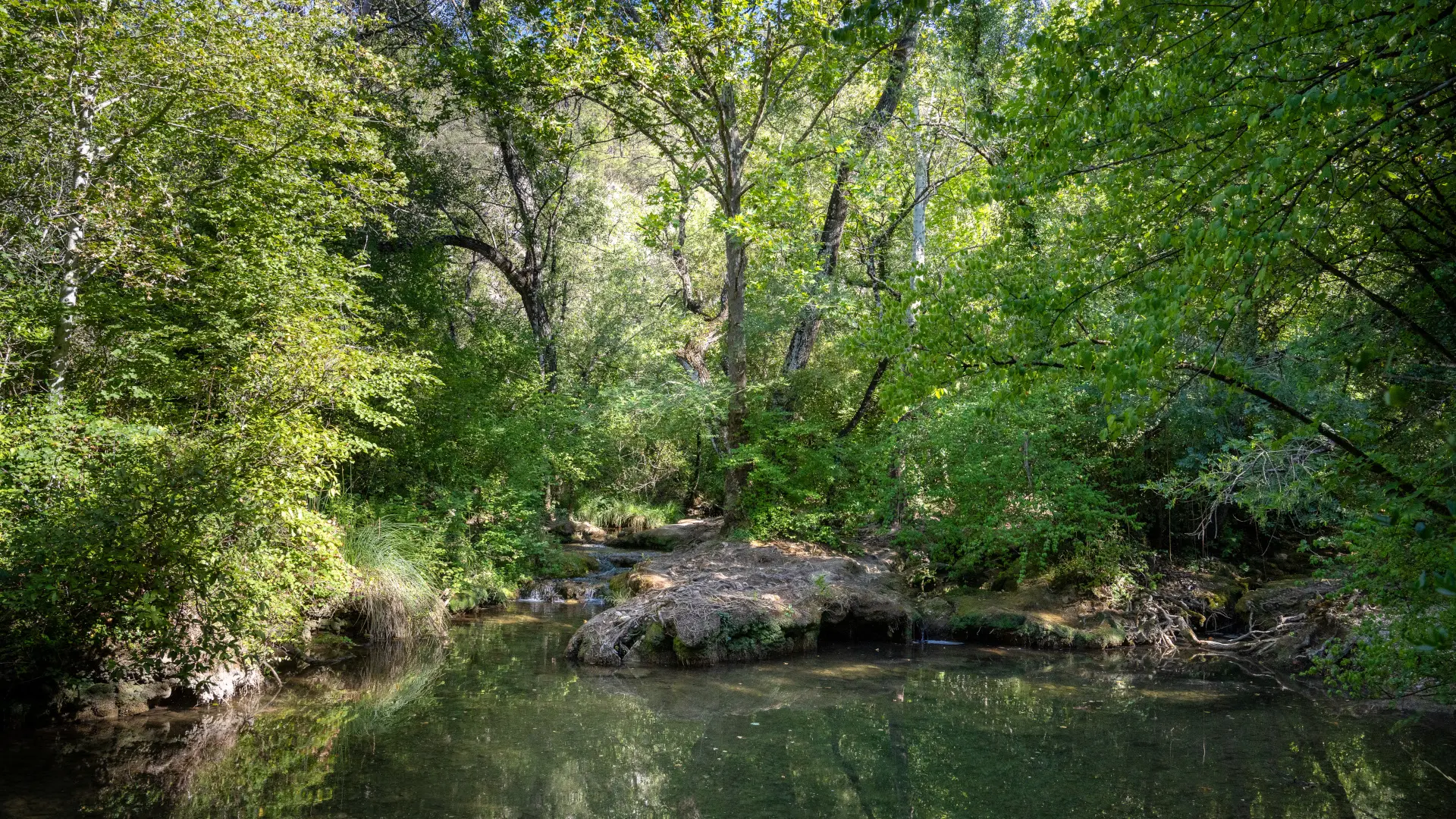 Gorges du Caramy, Tourves