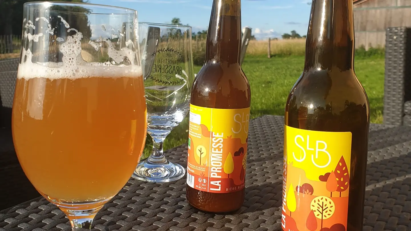 Un verre et deux bouteilles de bière