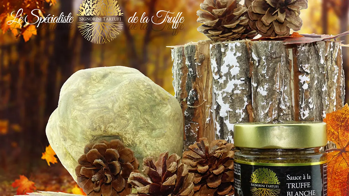 Signorini Tartufi