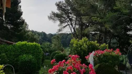 Jardin au mois de mai