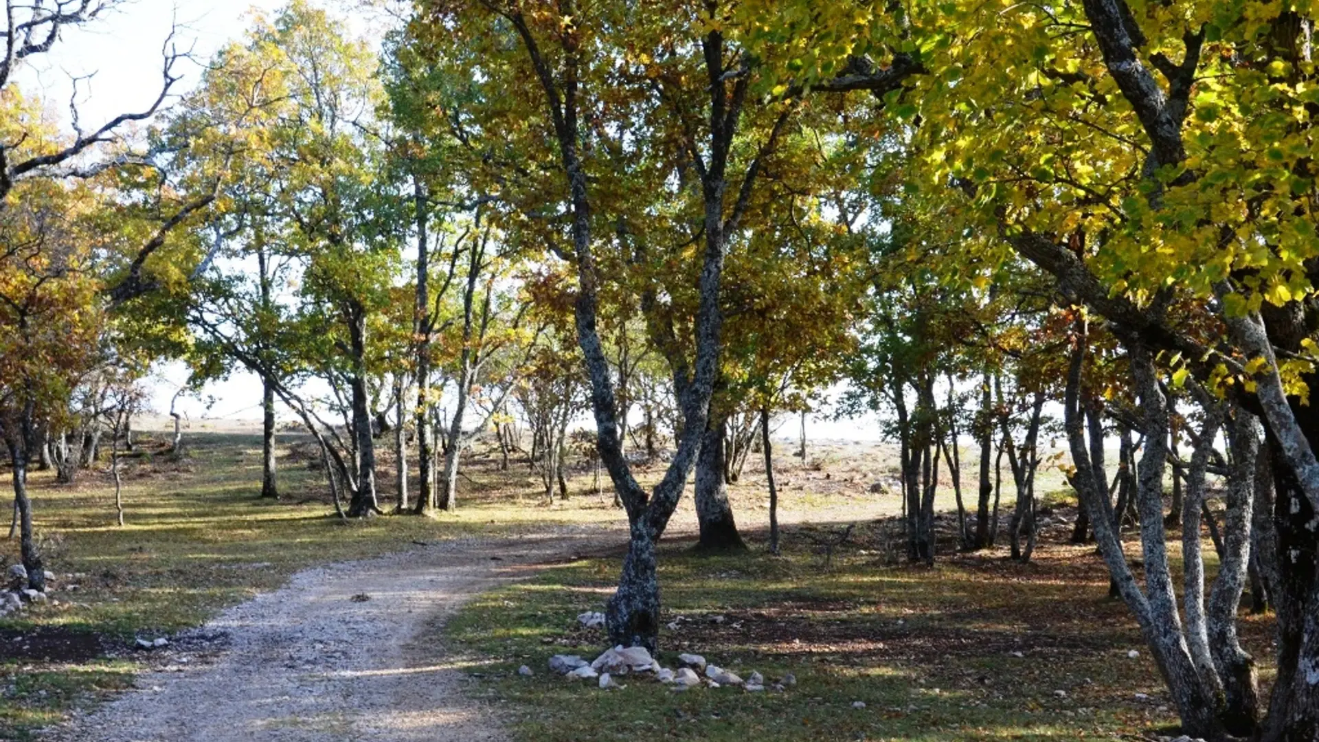 Piste de Briasq