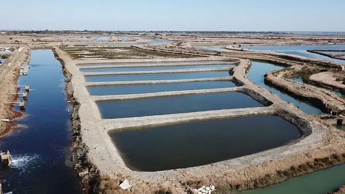 Marais de la Ferme des Baleines