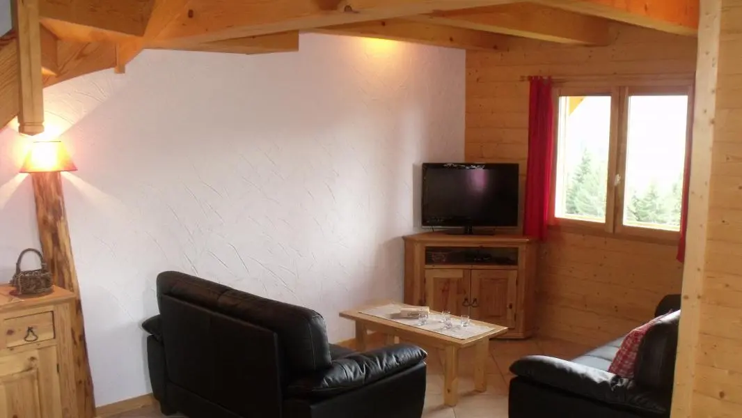 coin salon 2 canapés et téléviseur 83 cm