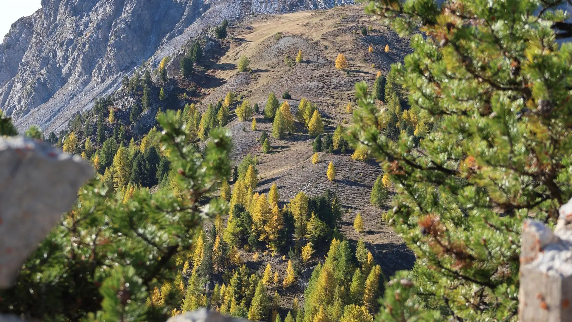Le fort de la Lausette