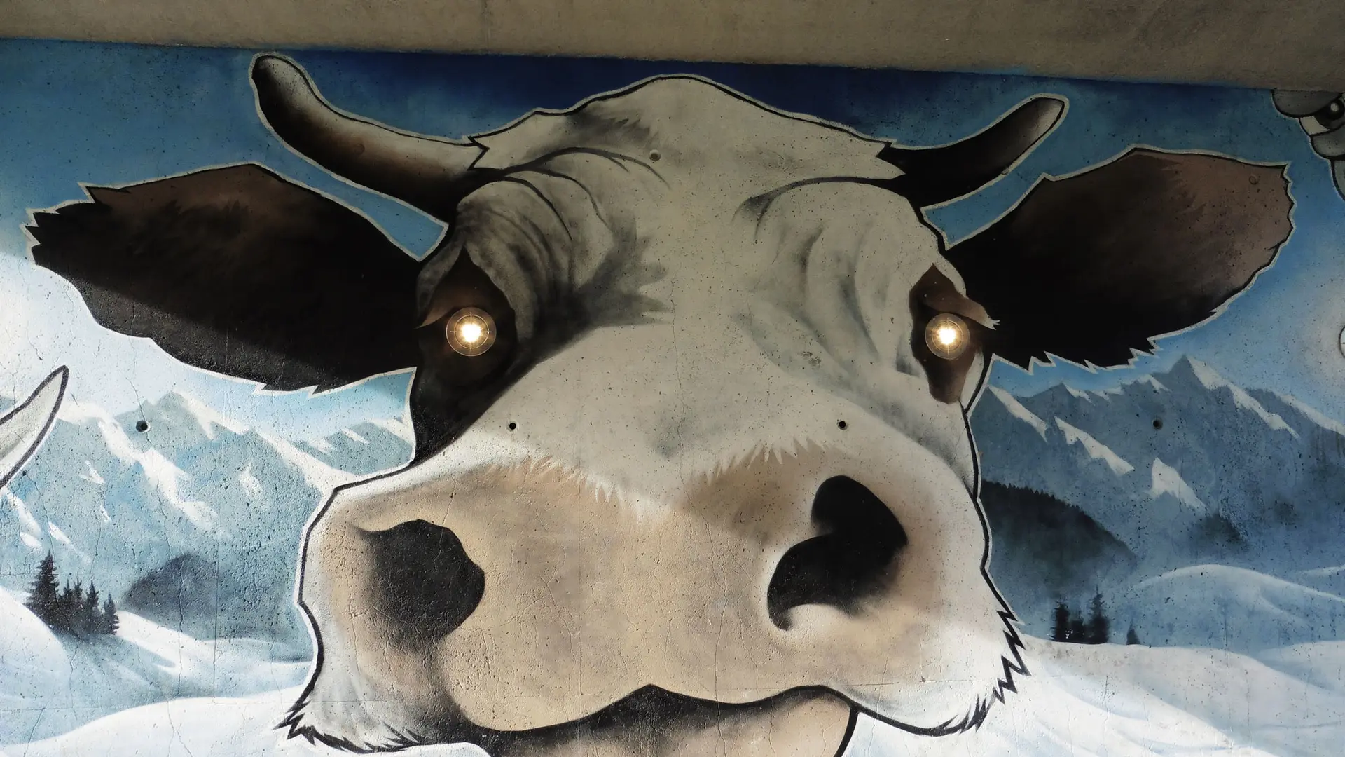 Art Vache : Les Yeux dans les Meuhs