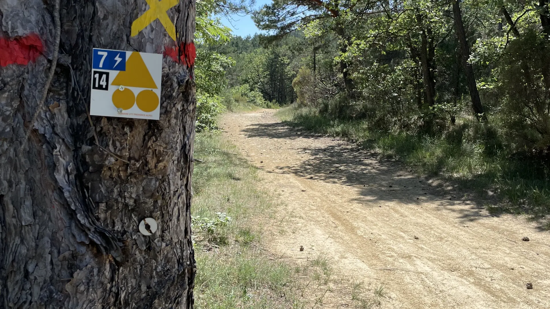 Balade des Bruyères