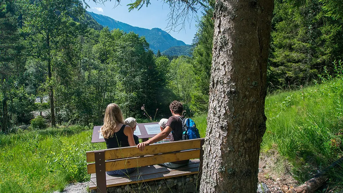 Mobilier sur le géosite de la forêt ivre