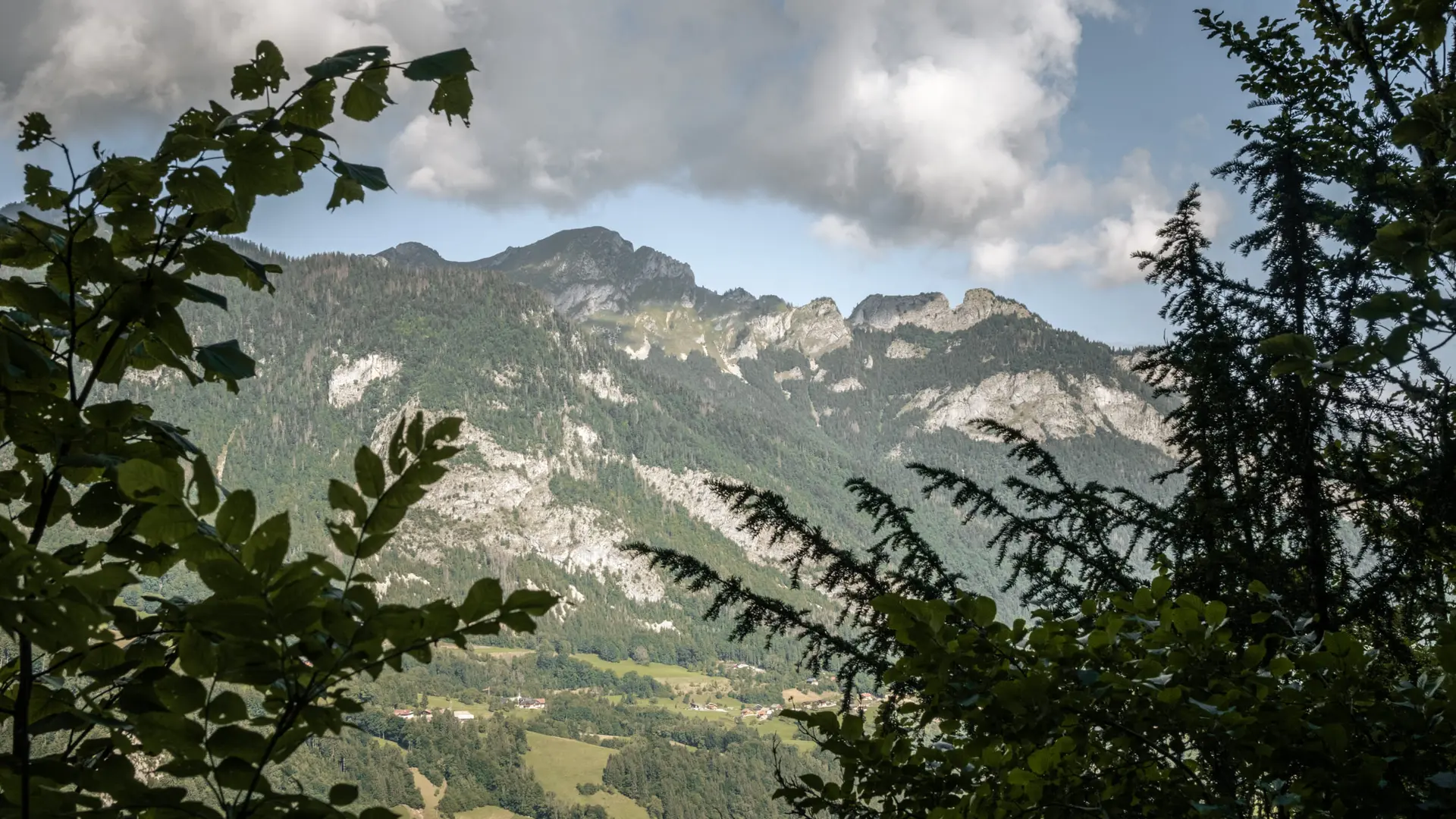 Vue alpage Haut-Thex