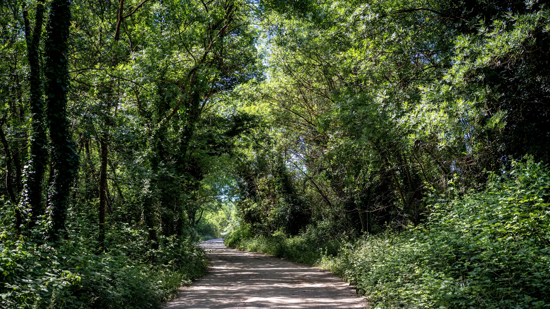 Sentier du Peyron Grimaud