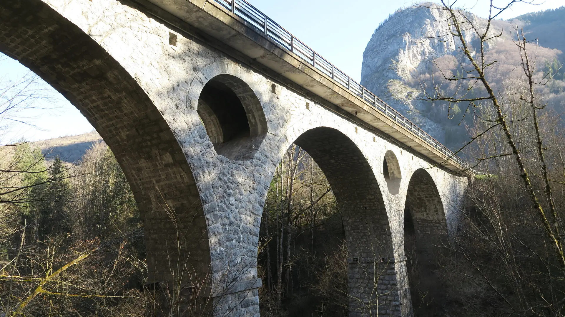 Pont de la Tassonnière