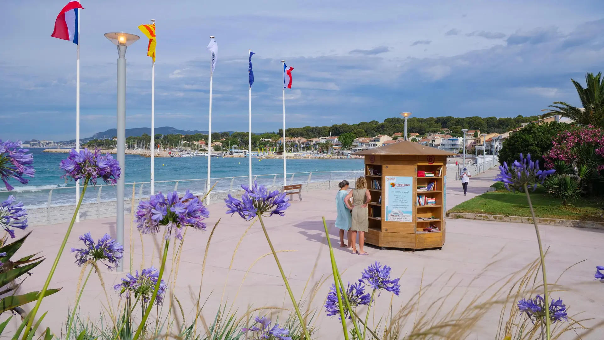 Bibliothèque de plage