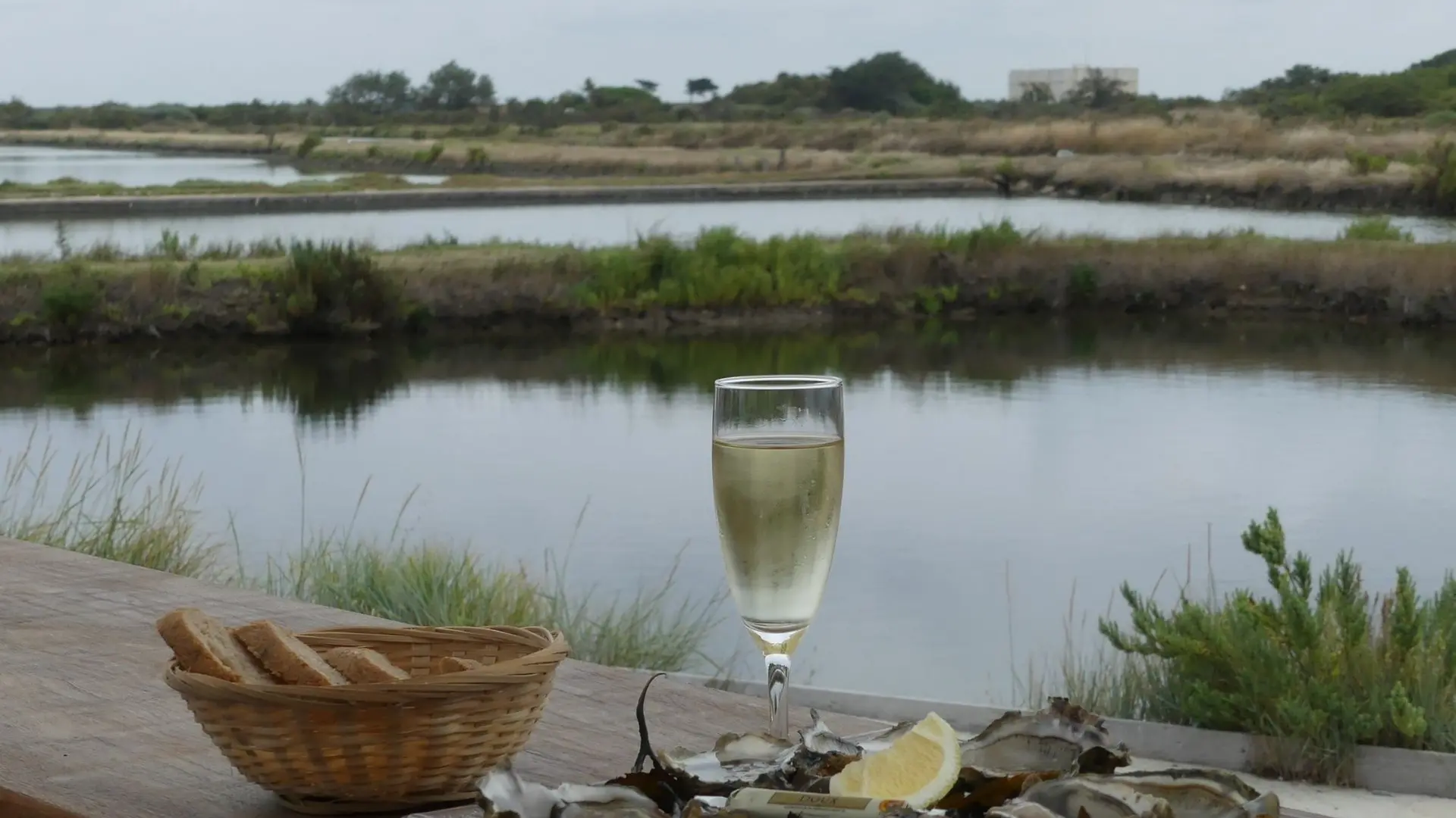 Dégustation d'huitres chez l'ostréiculteur