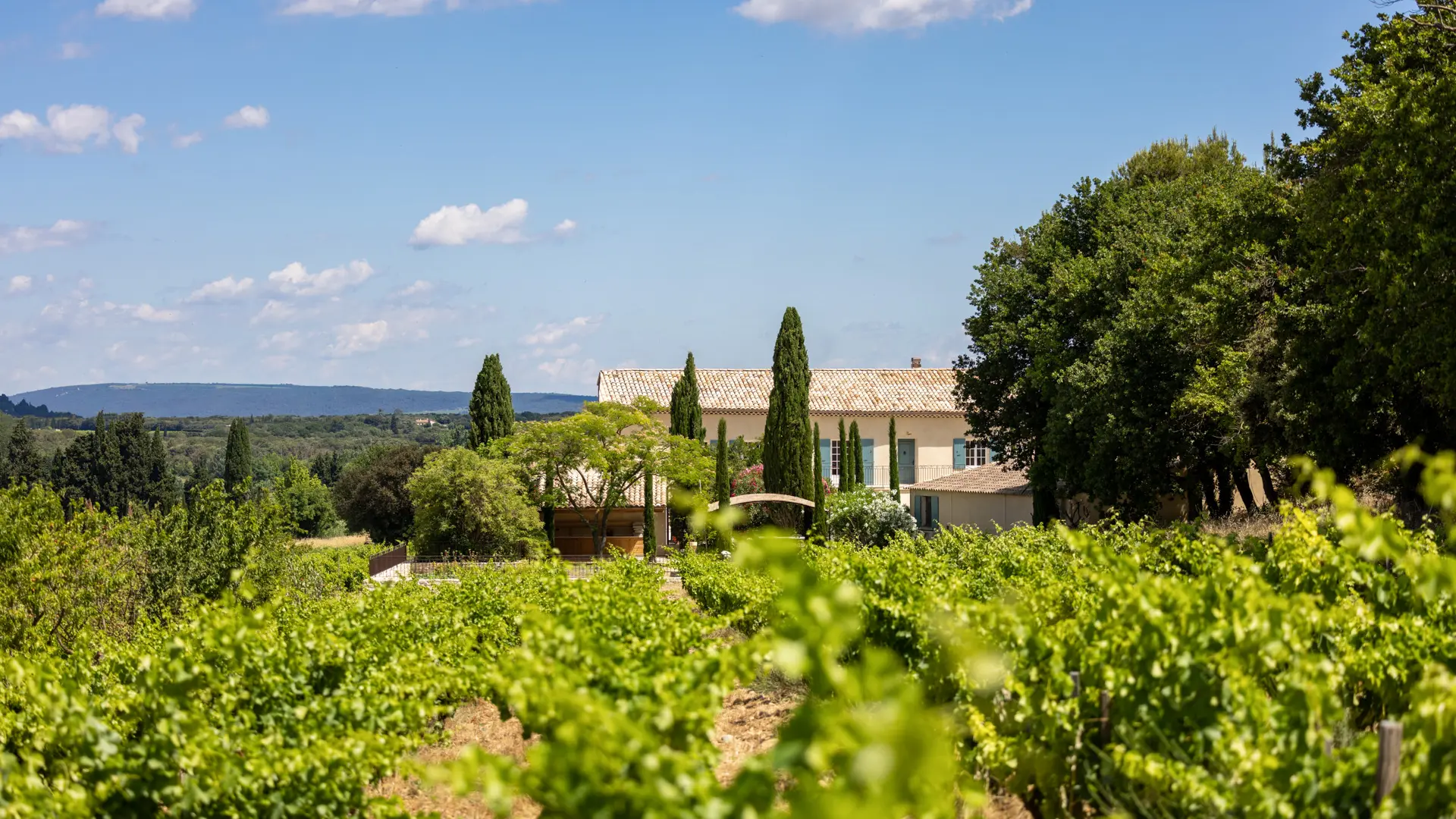 Domaine le Prieuré des Papes