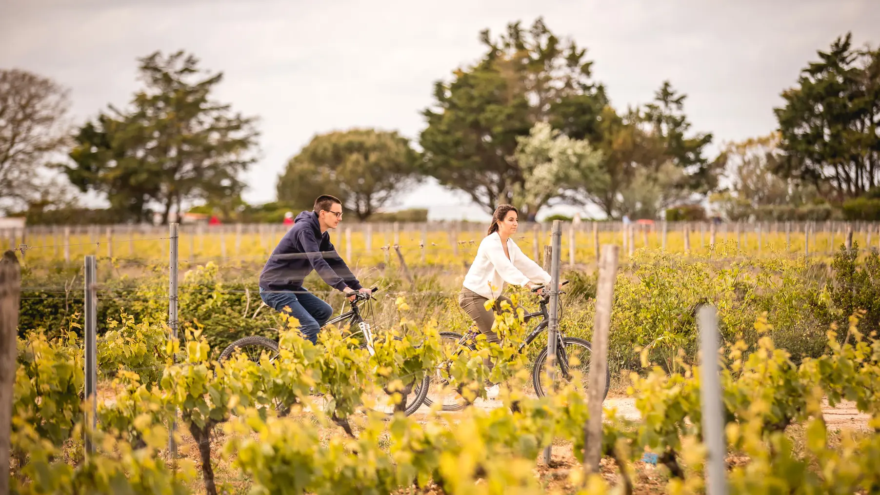 Balade à vélo dans les vignes