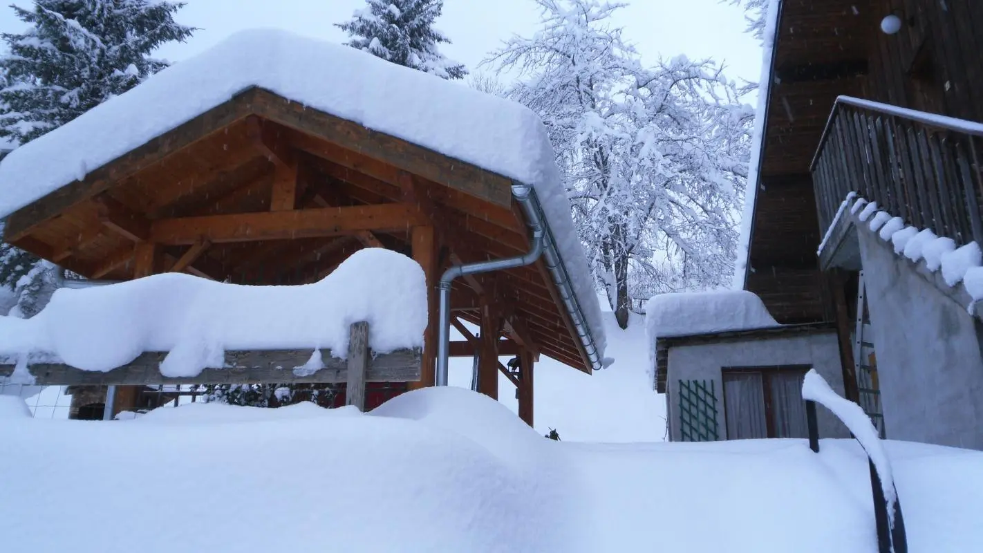 jardin sous la neige