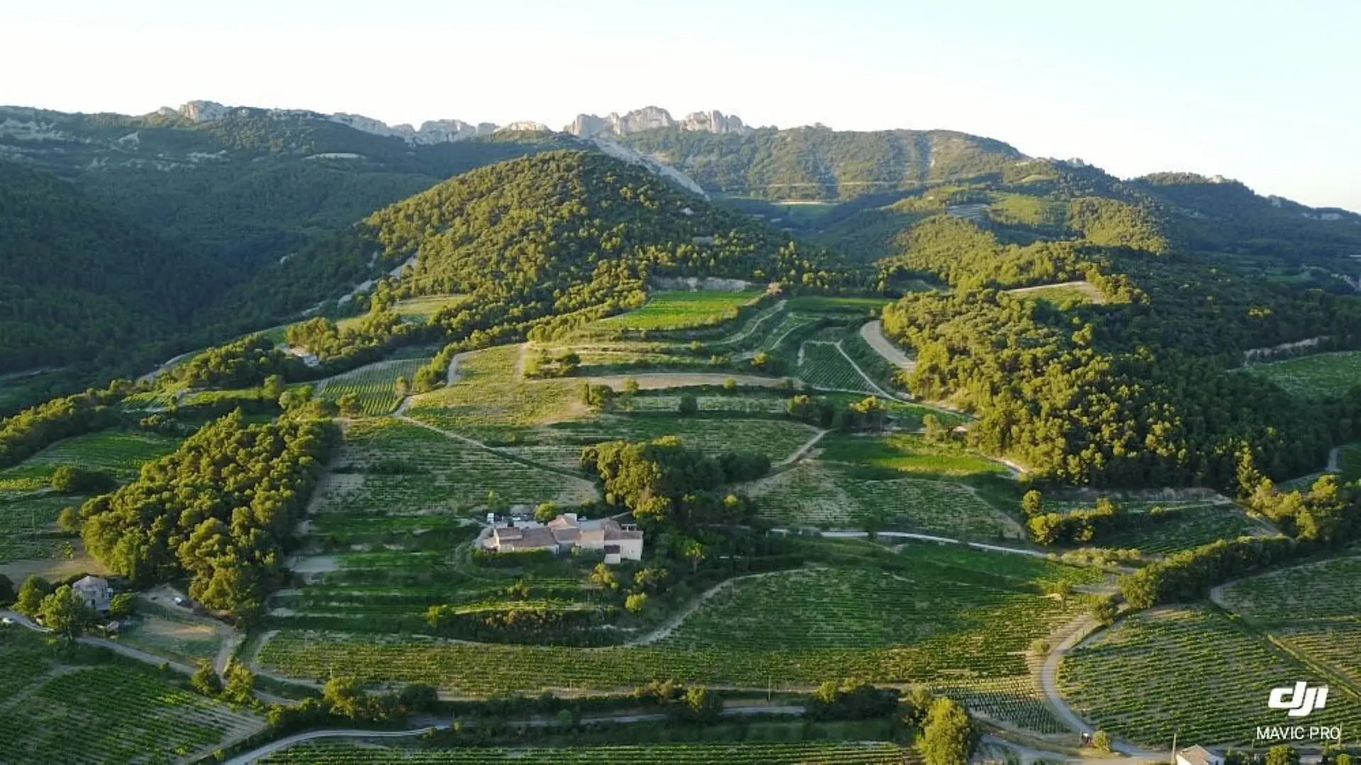 Vue du domaine, en fond, les dentelles de Montmirail