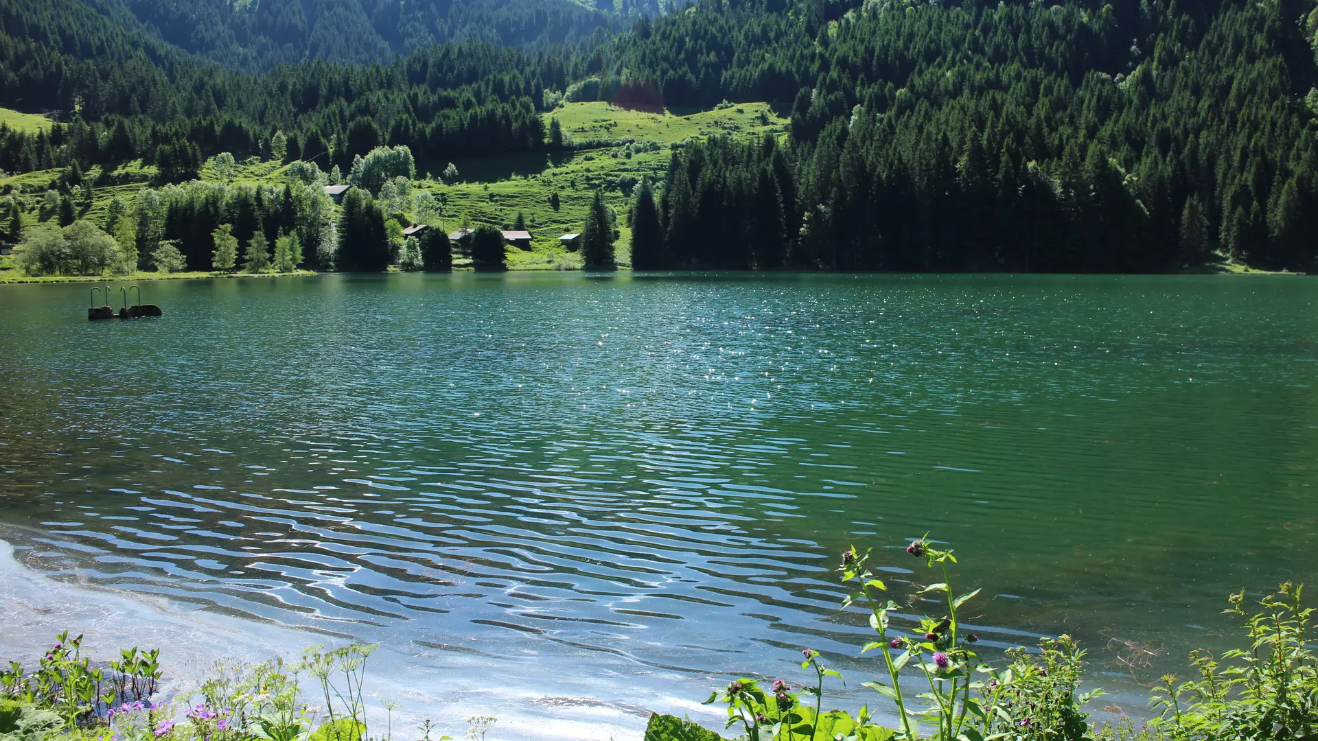 Lac des Plagnes