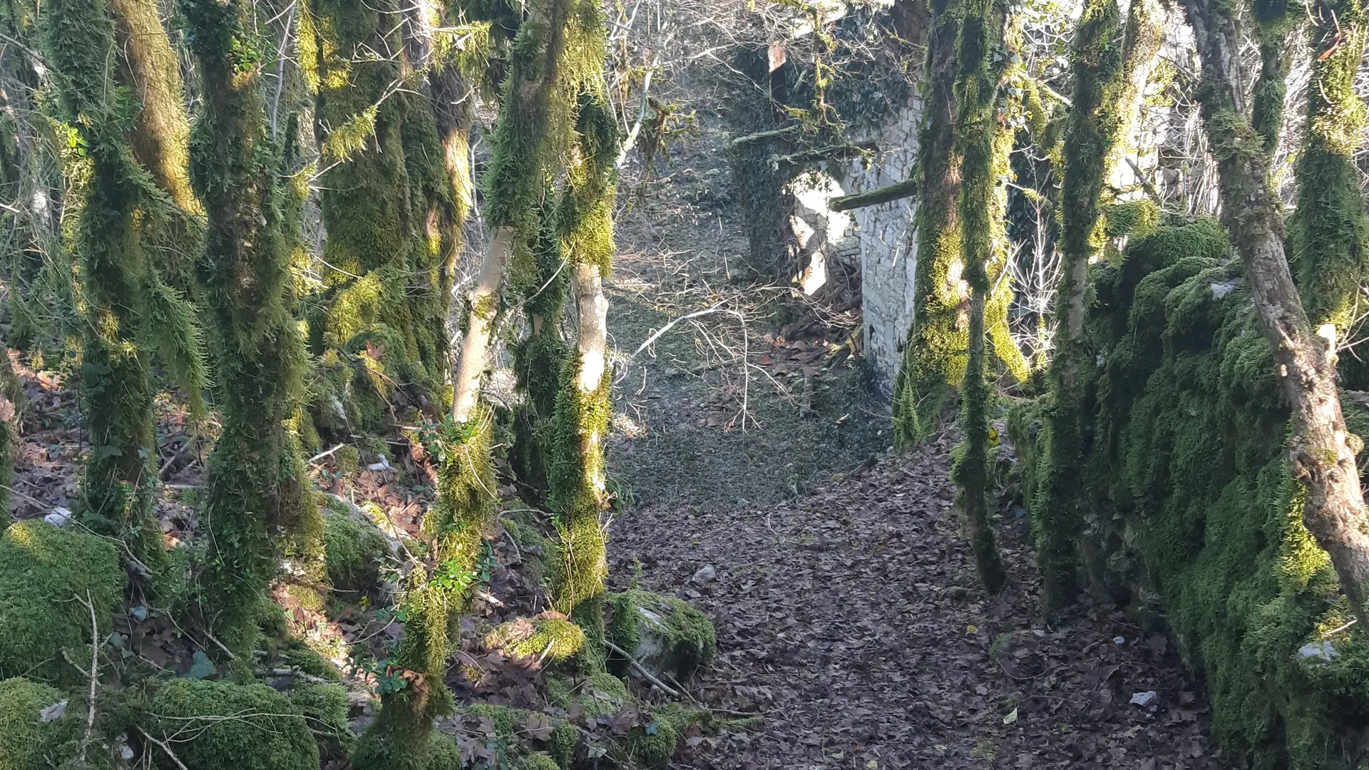 Sentier de St Maurice d'Echazeaux