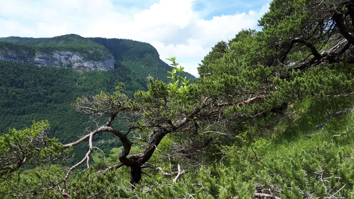 Point de vue