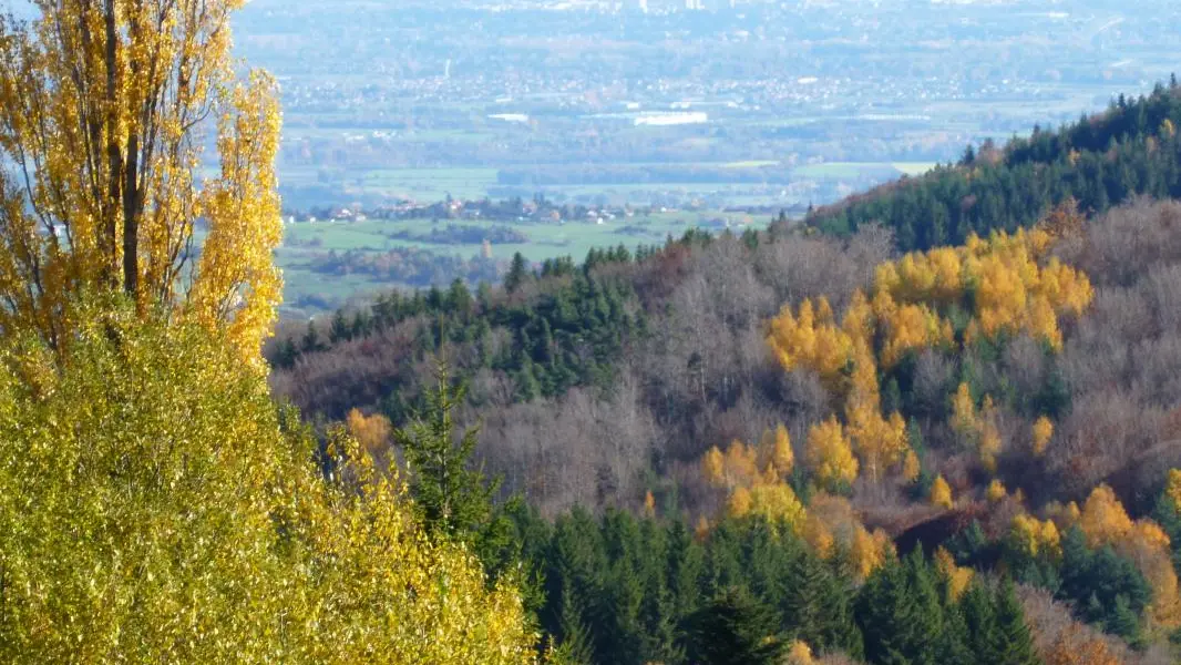 vue d'automne