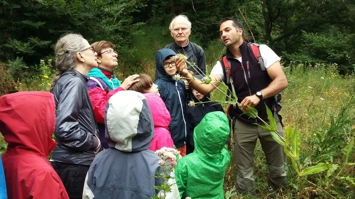 Sortie Botanique grand public