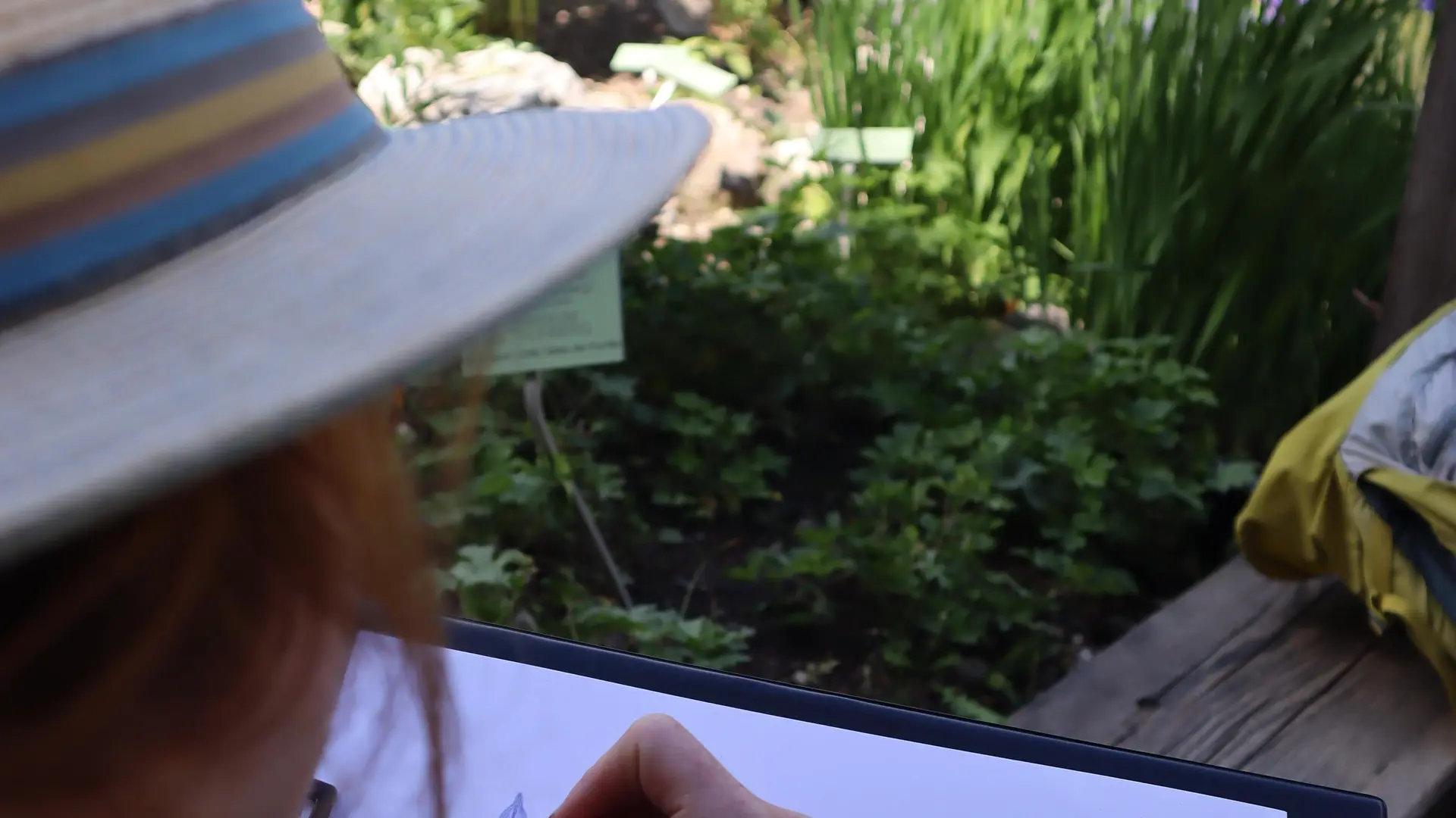 Stage d'aquarelle naturaliste au Jardin du Lautaret