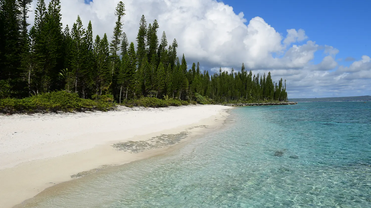 Plage de Shini