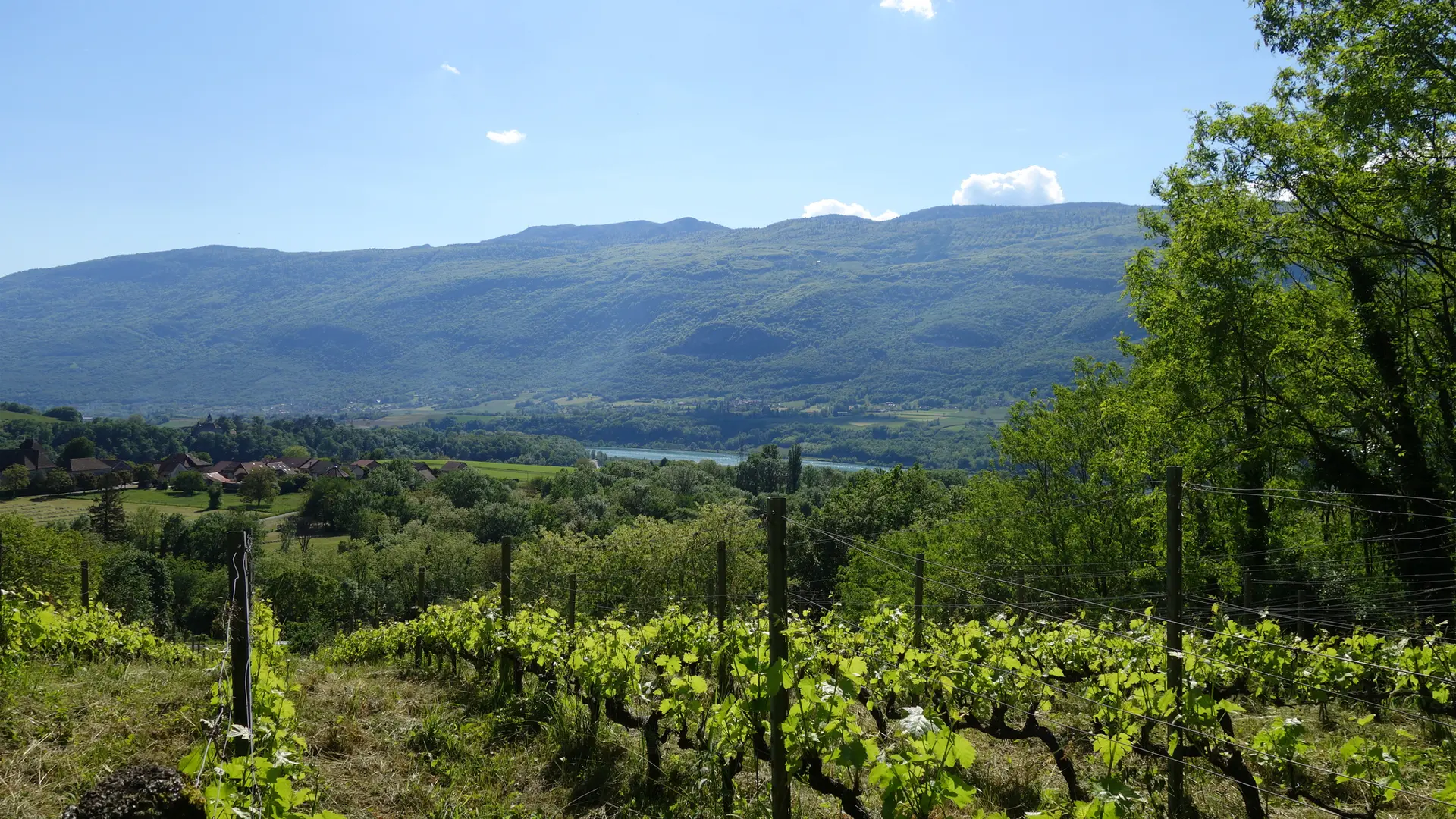 Genève - St Genix sur Guiers