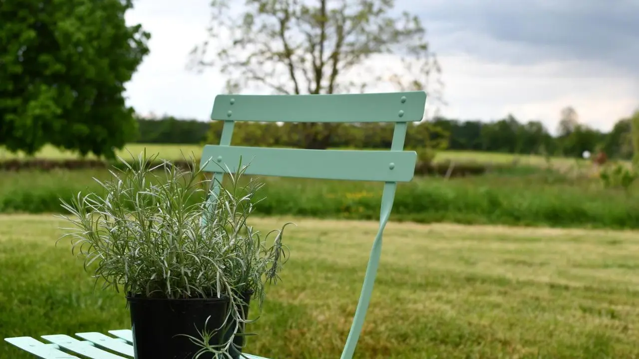 Saint Nizier le Désert