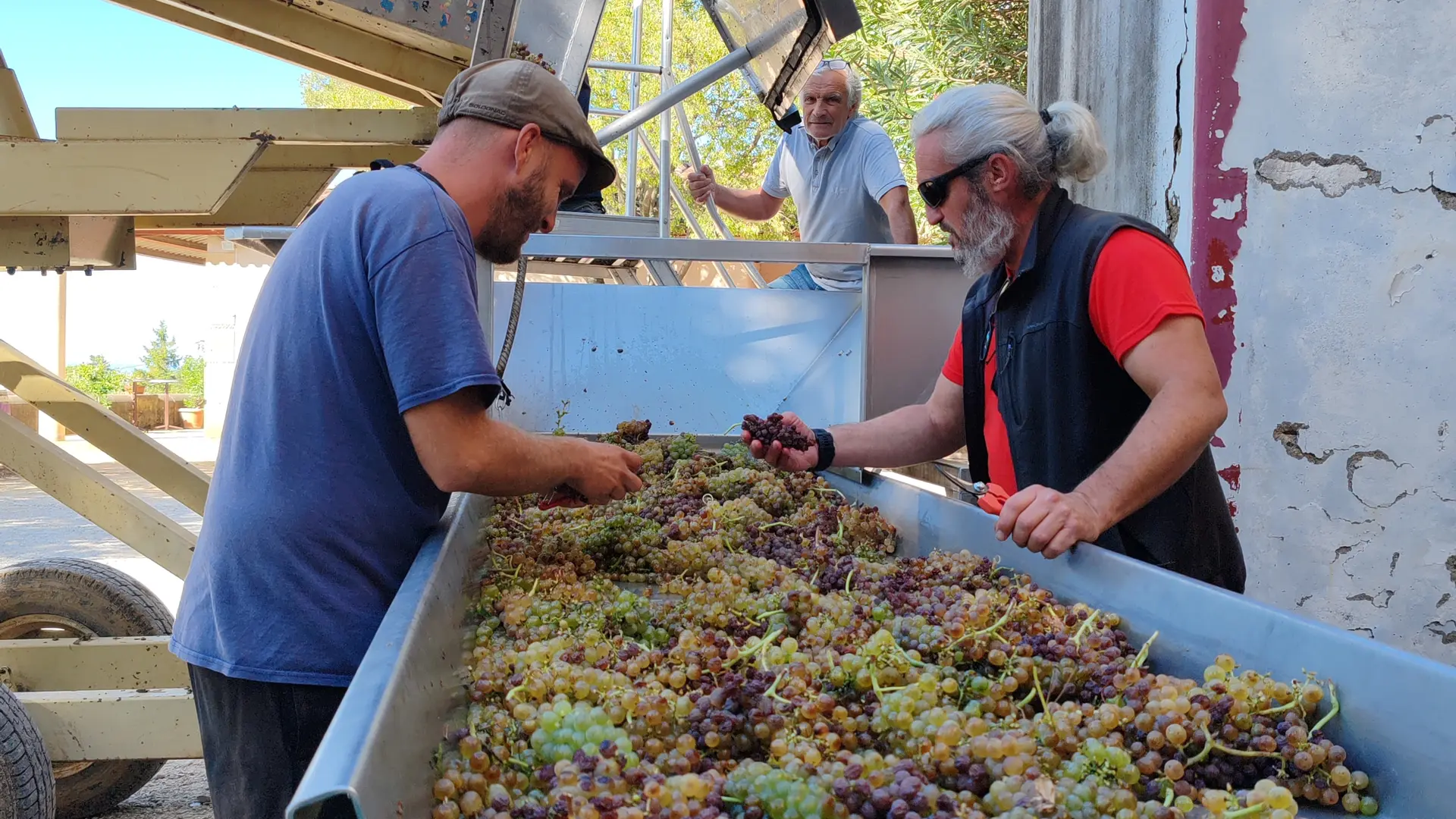 L'équipe fait son 2ème tri