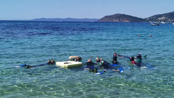 Sentier marin, une balade aquatique au Domaine du Rayol