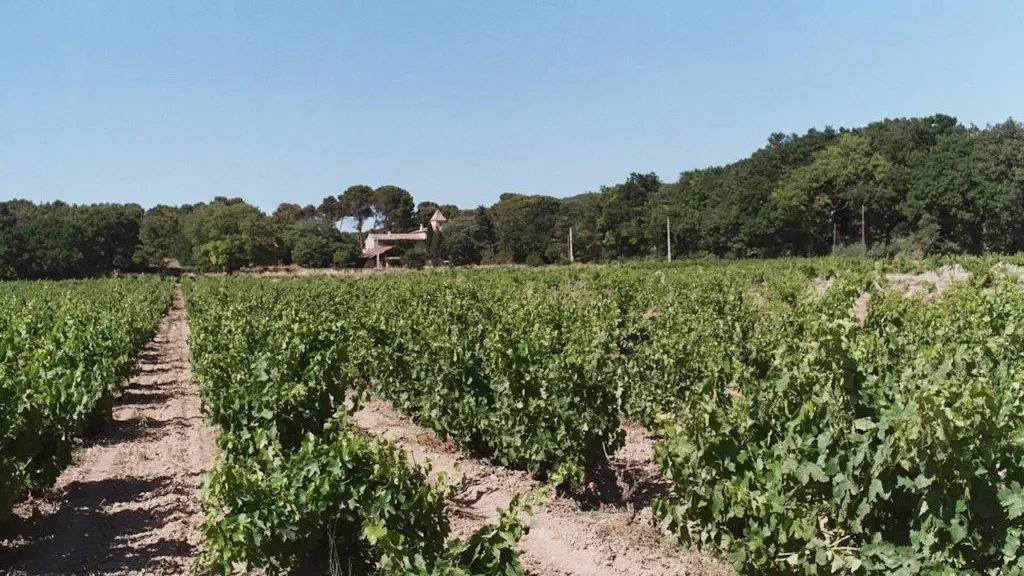 Domaine de la Gasqui