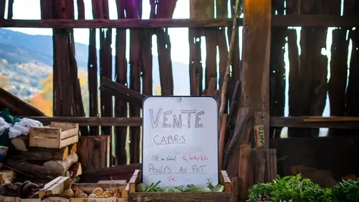 Étale de la vente à la ferme avec de nombreuses variétés de légumes dans des cagettes en bois.