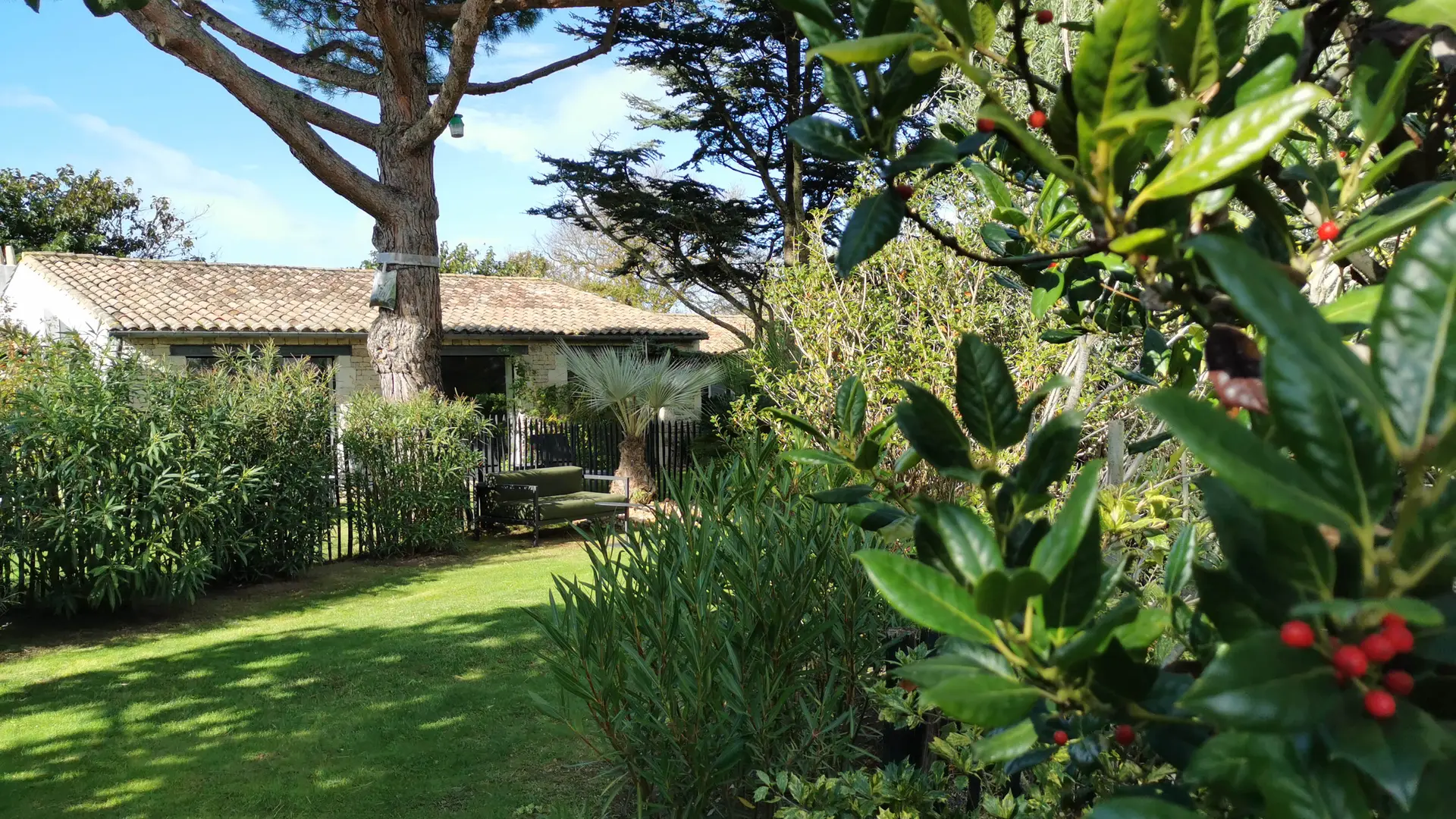 Garden on the spa side