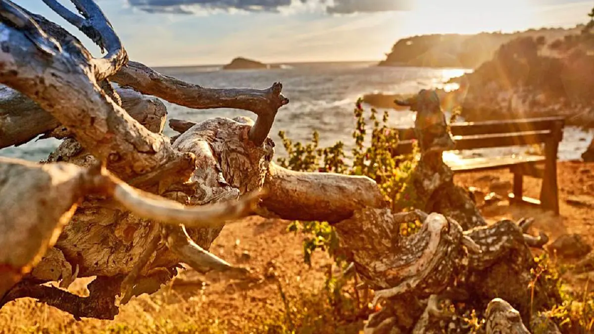 Sentier de randonnée