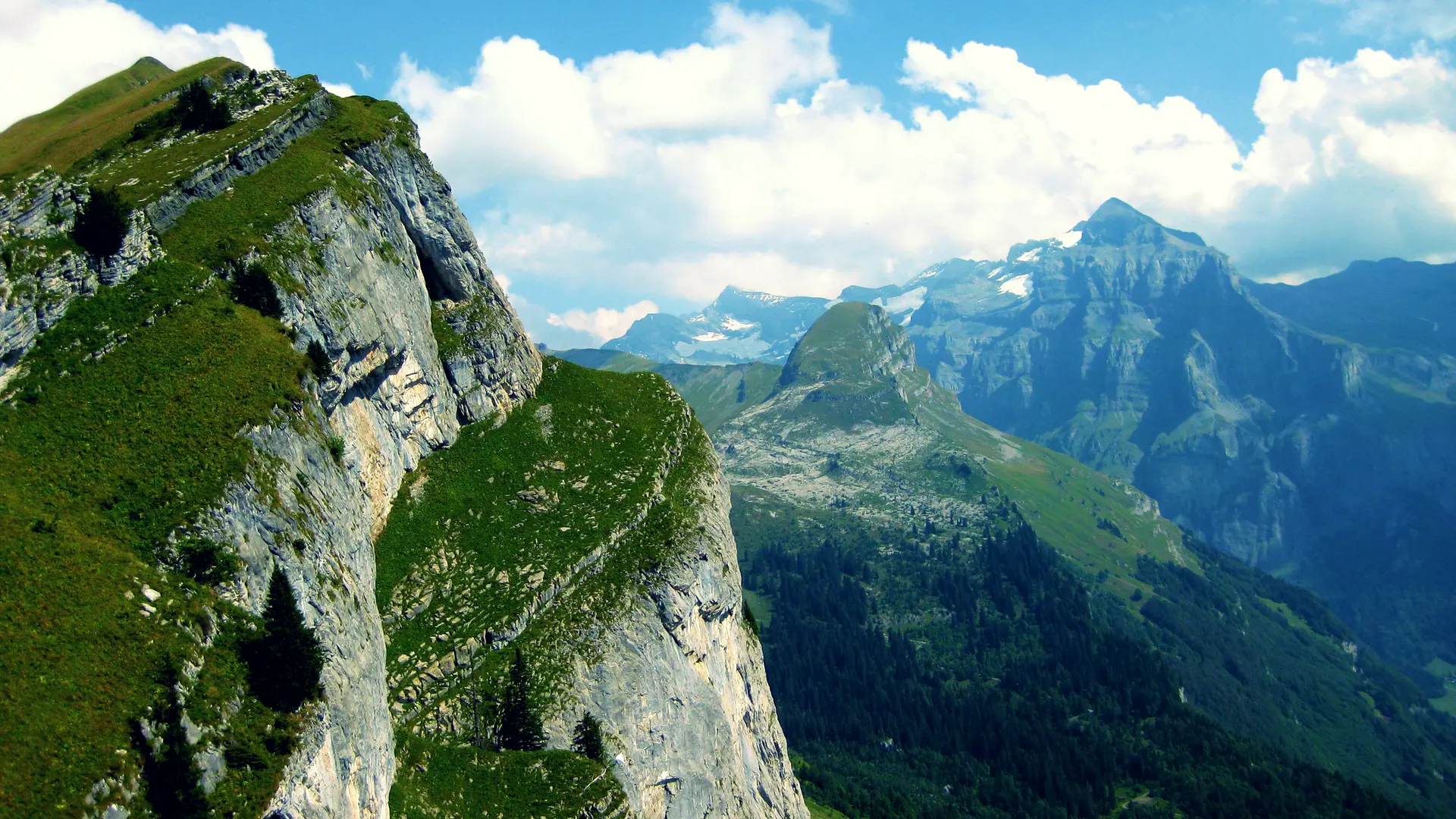 Panorama