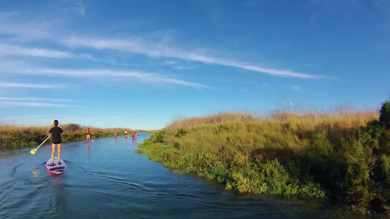 Randonnée en paddle dans l'île de Ré