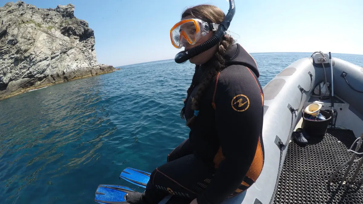 plongée sous marine, site les 2 frères à la Seyne sur Mer