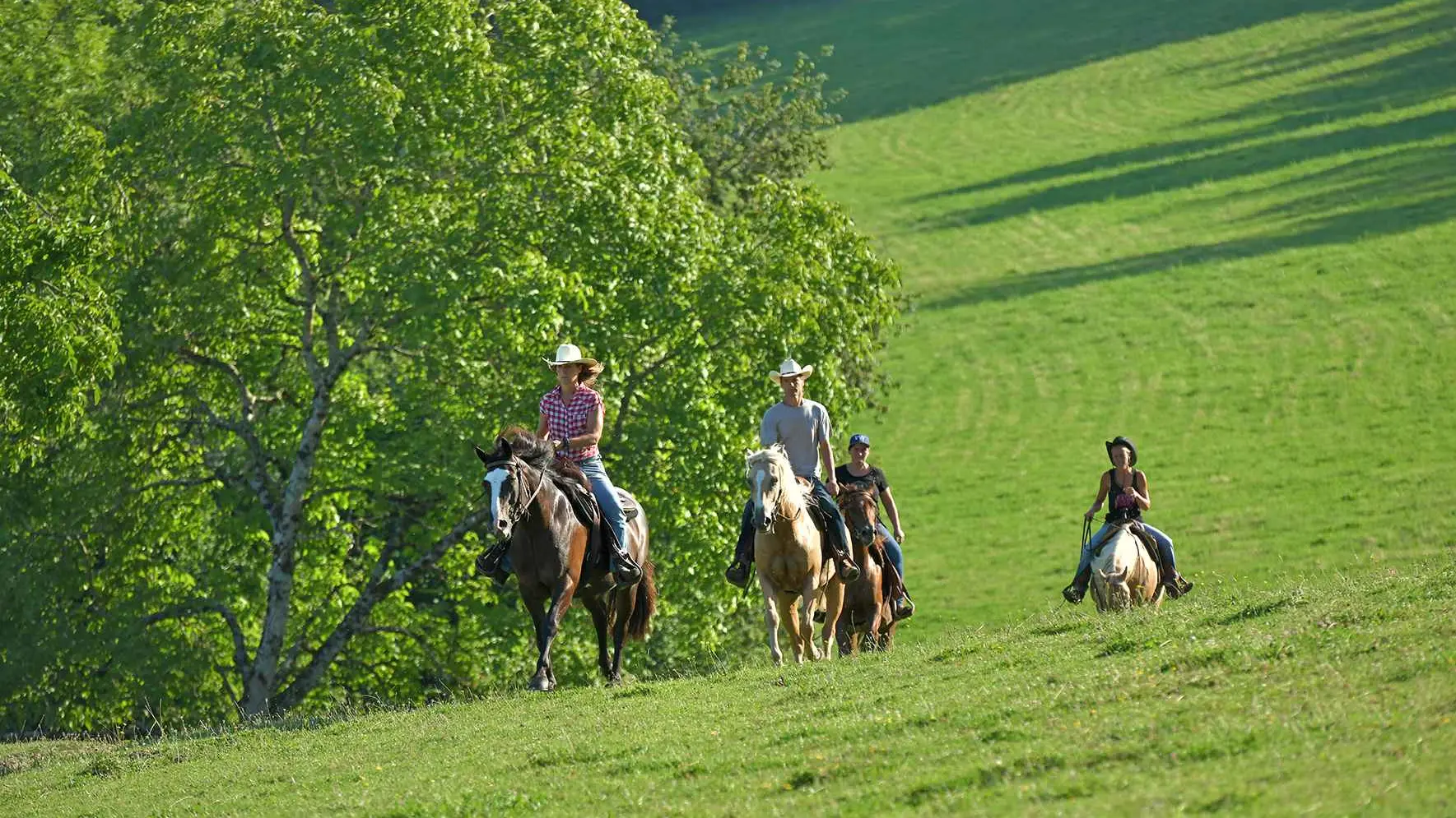 Randonnée équestre