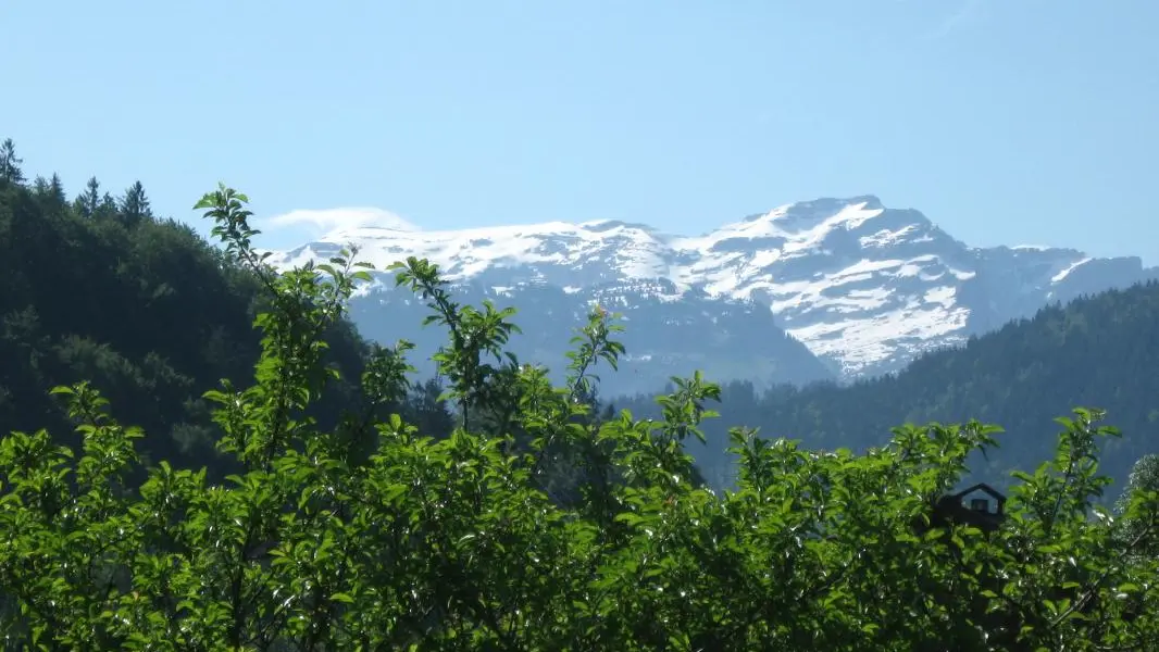 Vue sur les sommets du Grand Massif